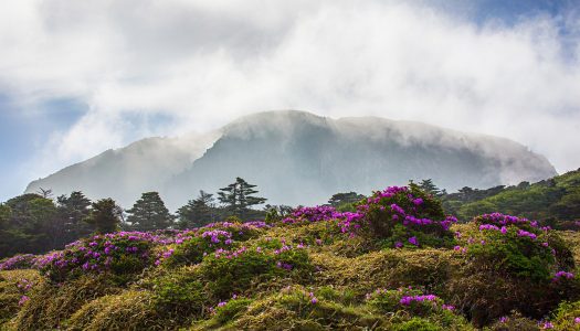 Four Seasons abrirá un lujoso resort en una de las 7 maravillas naturales del mundo